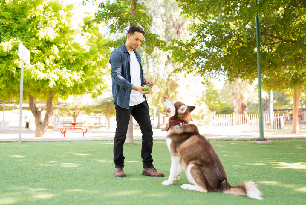 5 tips to ensure the best life for your pets at home
