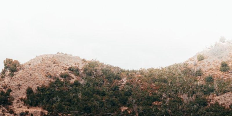 stake truck near hill