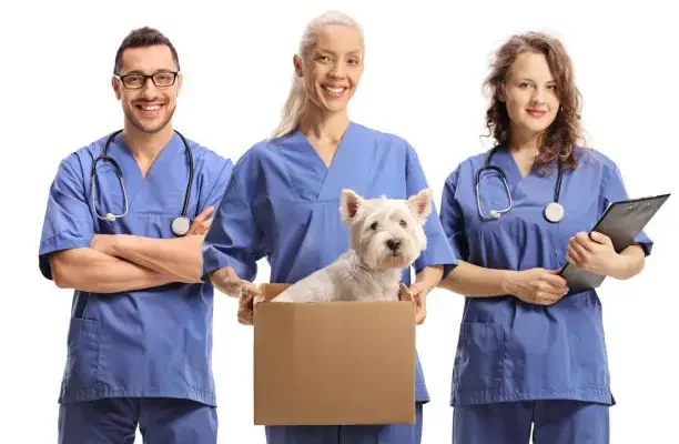 How Veterinary Clinics Train Staff For Emergency Preparedness