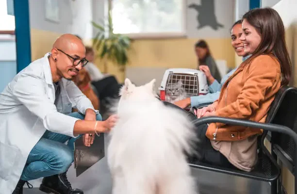 How Veterinary Hospitals Provide Behavioral Counseling For Pets